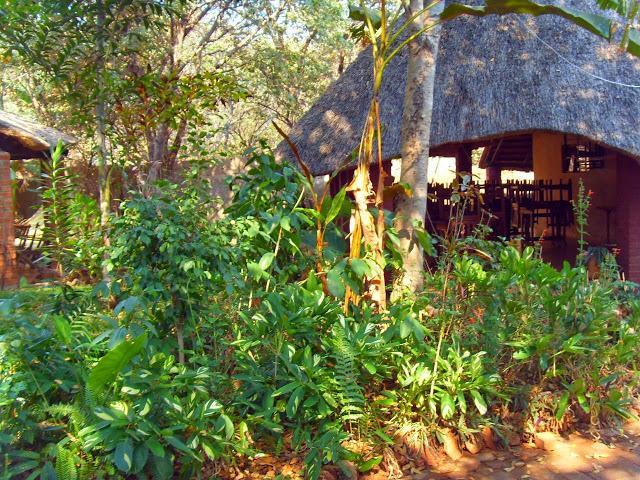 Mosi-Ua-Tunya Lodge Victoria Falls Dış mekan fotoğraf